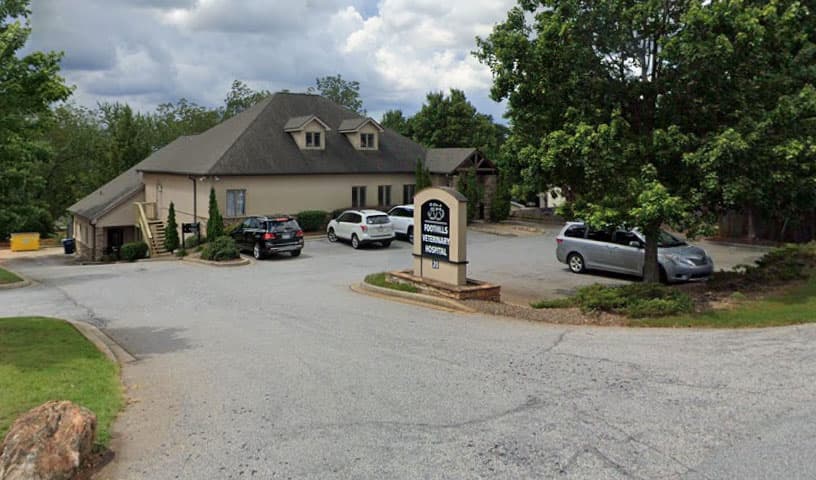 Foothills Veterinary Hospital