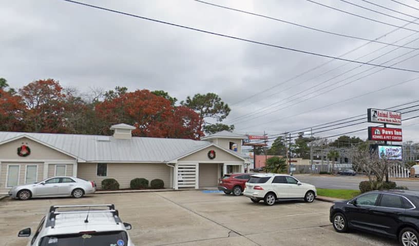 Animal Hospital of North Myrtle Beach