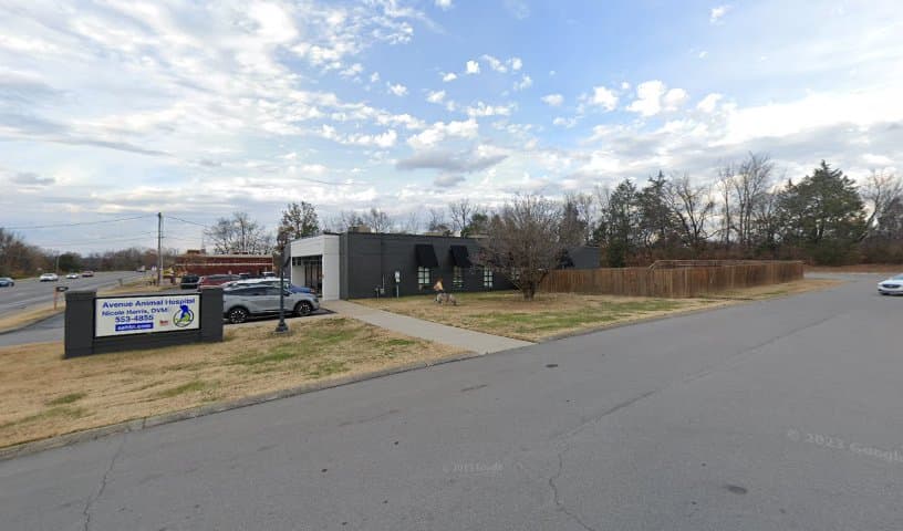 Avenue Animal Hospital