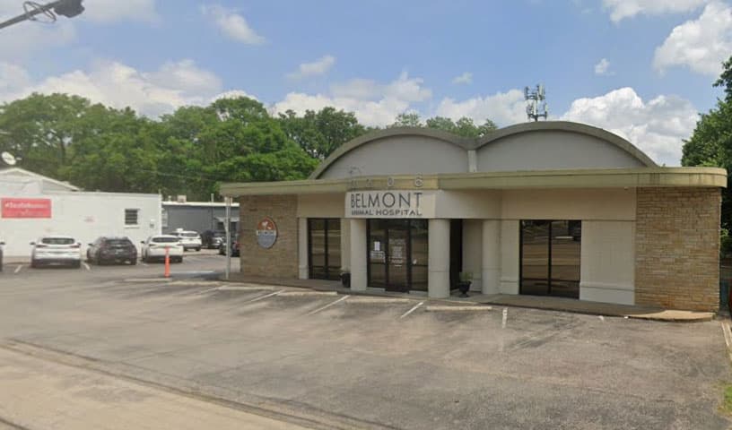 Belmont Animal Hospital