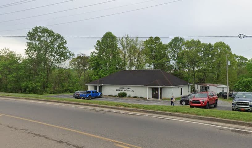 Morristown Animal Hospital