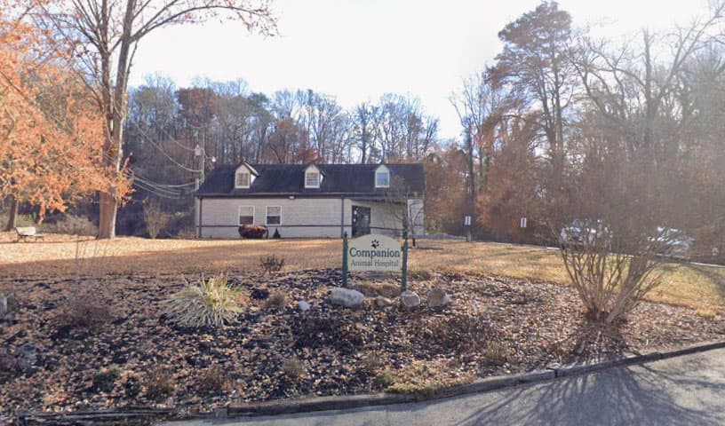 Companion Animal Hospital