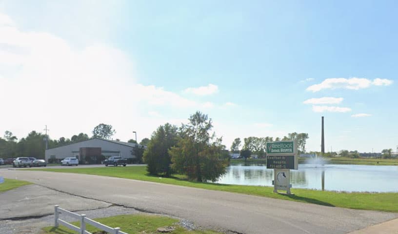 Reelfoot Animal Hospital