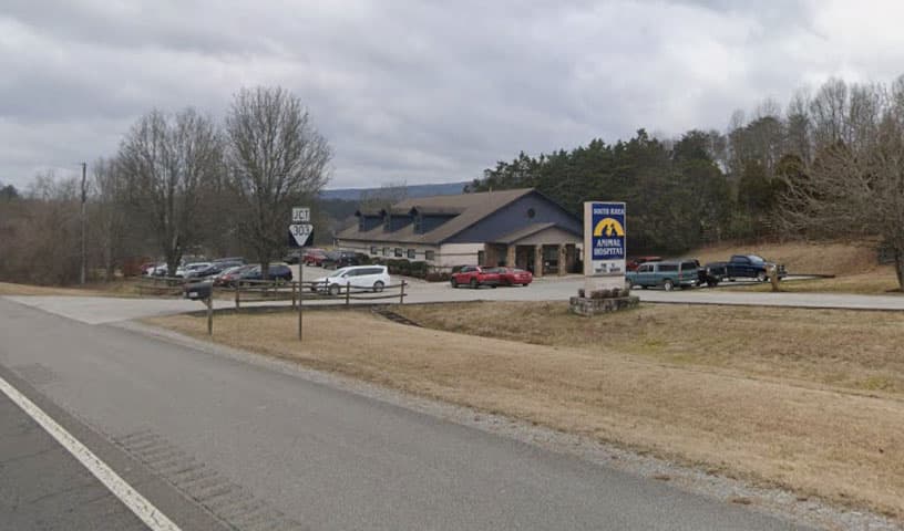 South Rhea Animal Hospital