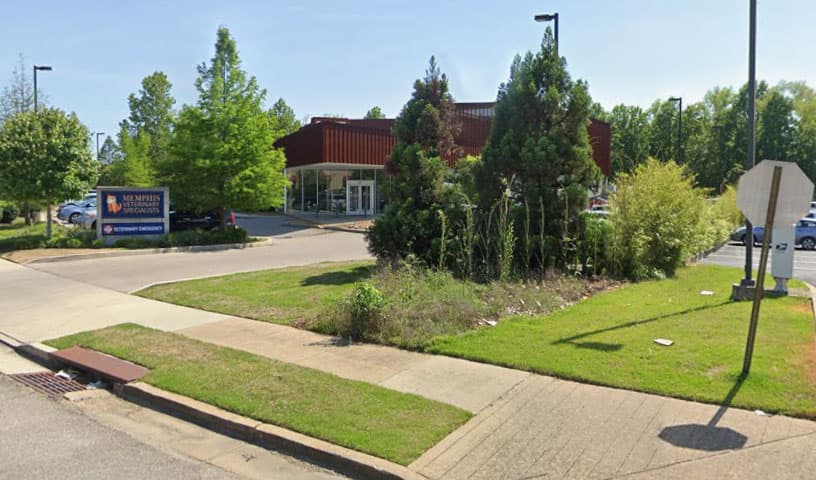 Memphis Veterinary Specialists