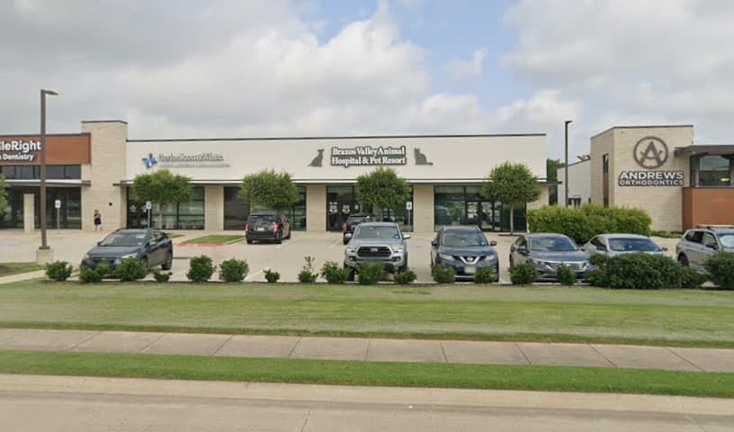 Brazos Valley Animal Hospital and Pet Resort