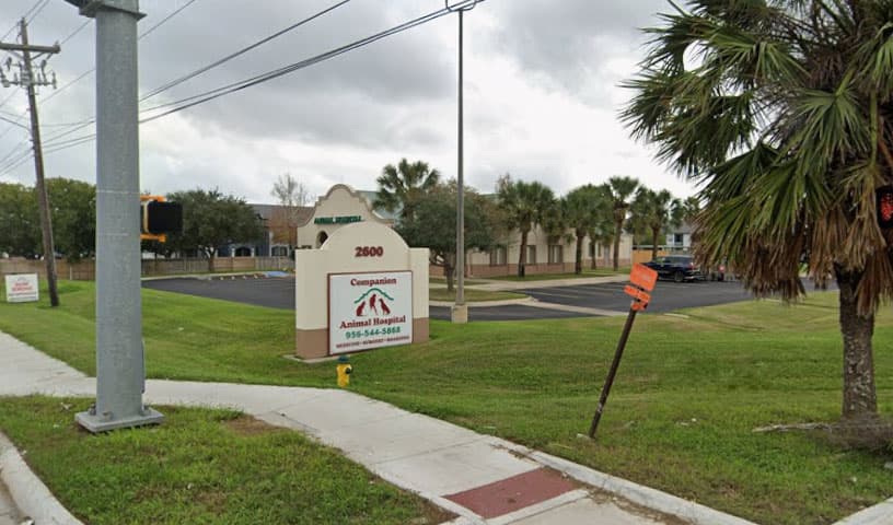 Companion Animal Hospital
