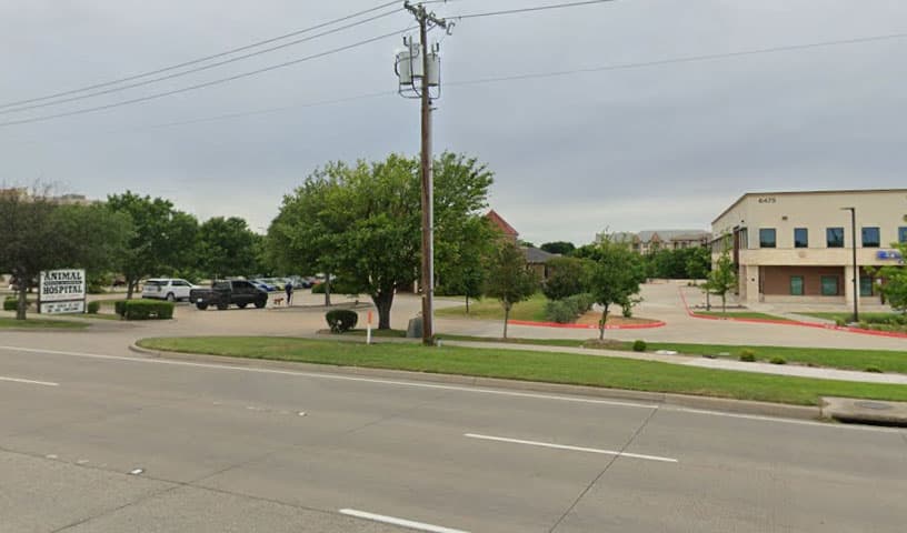 Animal Medical & Surgical Hospital of Frisco