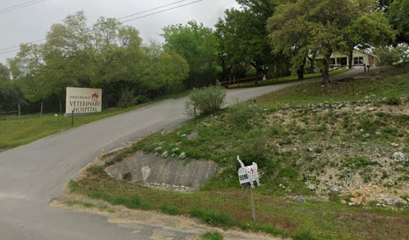Spring Branch Veterinary Hospital