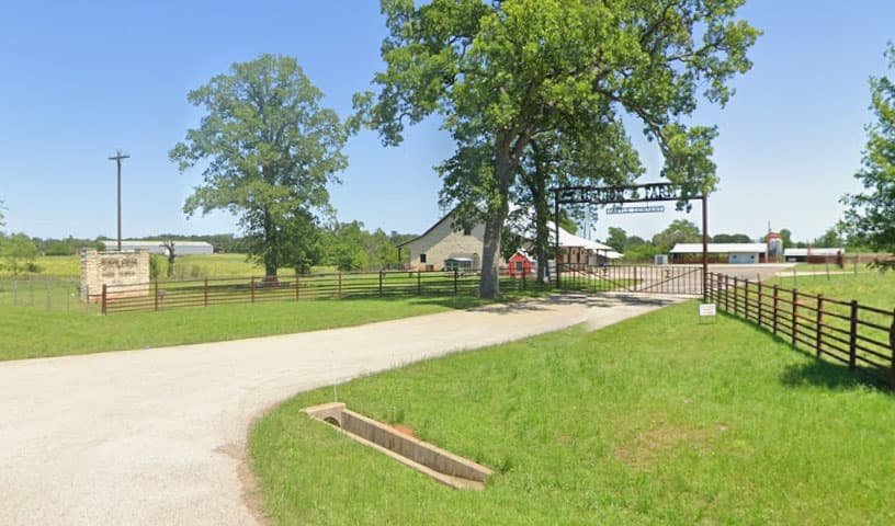North Creek Animal Hospital
