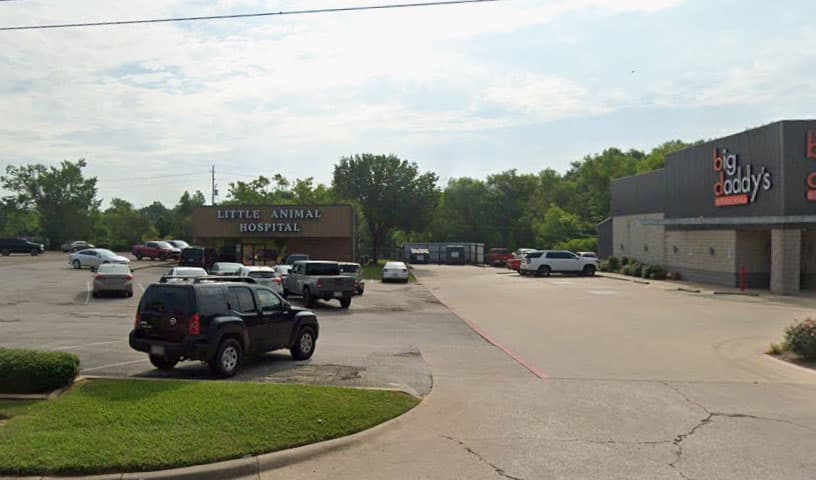 Little Animal Hospital
