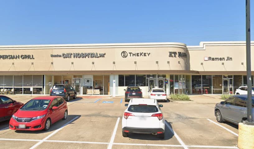 Houston Cat Hospital