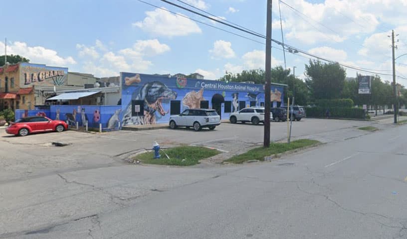 Central Houston Animal Hospital