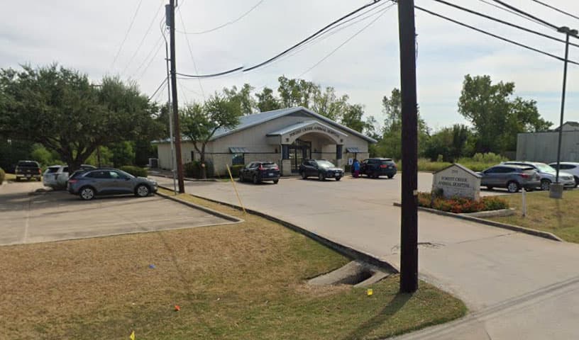 Forest Creek Animal Hospital