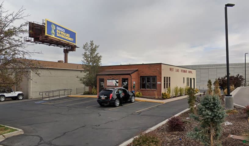 West Lake Veterinary Hospital