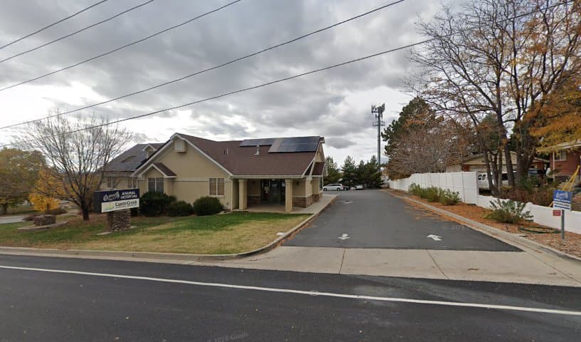 Coldwater Animal Hospital