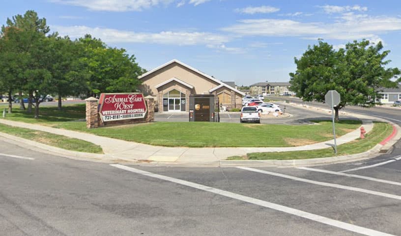 Animal Care Veterinary Hospitals