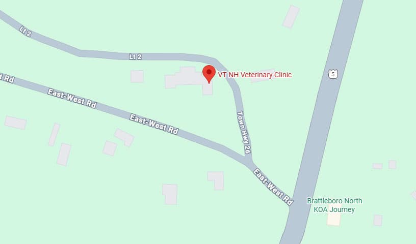 VT NH Veterinary Clinic