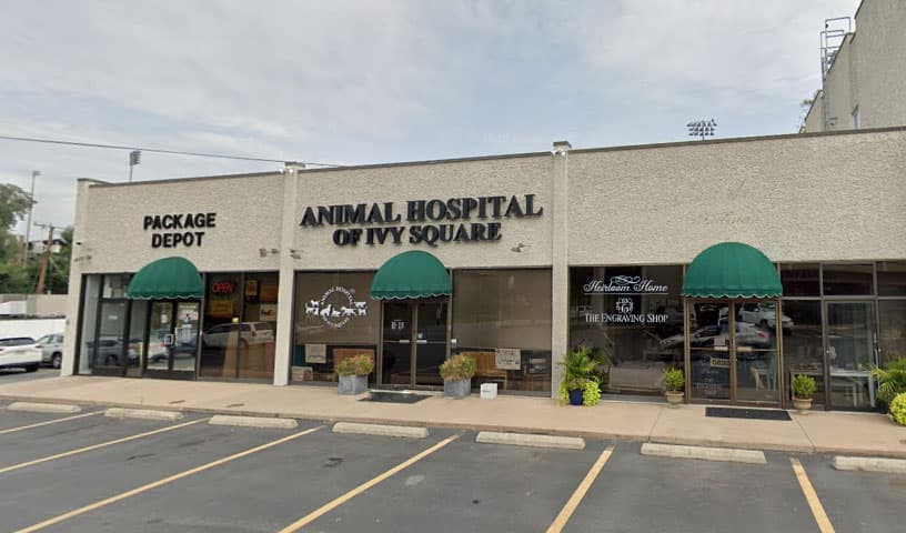 Animal Hospital of Ivy Square