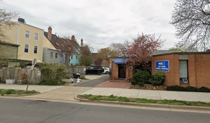 VCA Old Town Animal Hospital