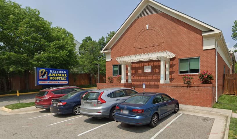 Hayfield Animal Hospital