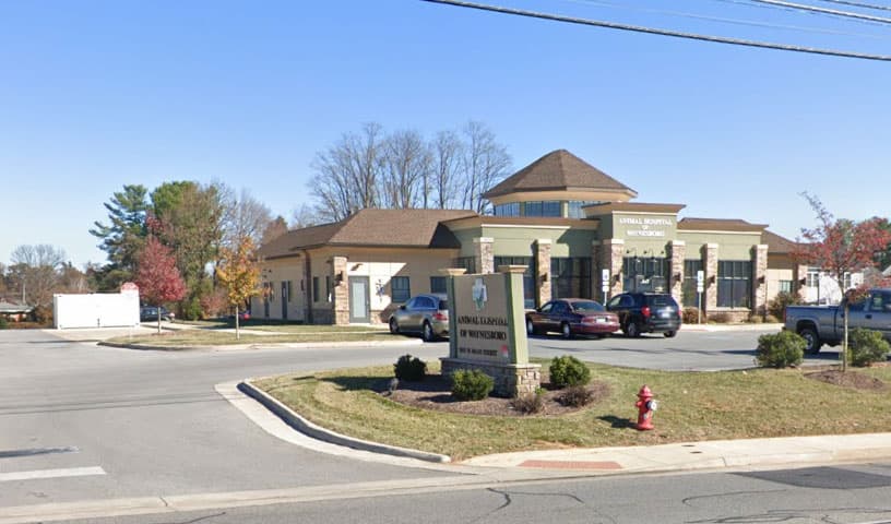 Animal Hospital of Waynesboro