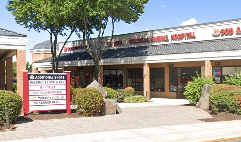 Colonial Animal Hospital