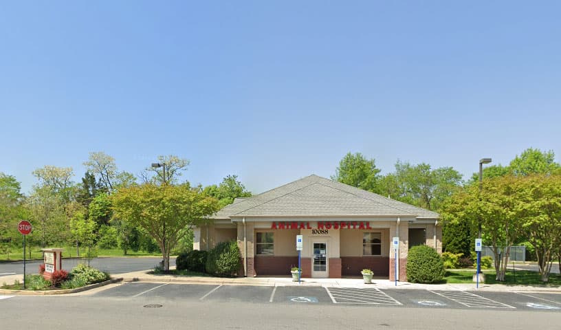 Four Paws Animal Hospital & Wellness Center