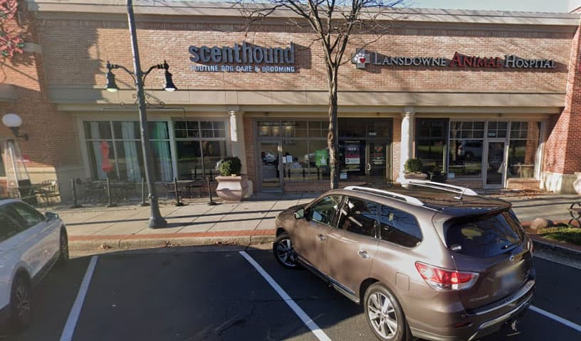 Lansdowne Animal Hospital