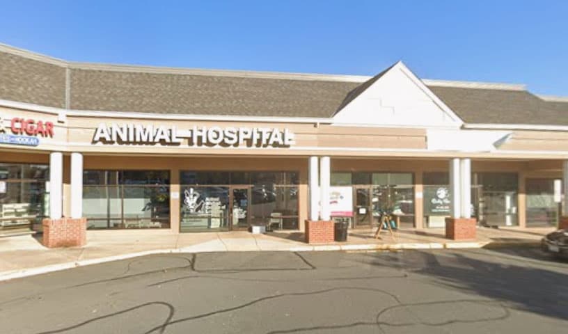 Ashburn Animal Medical Center