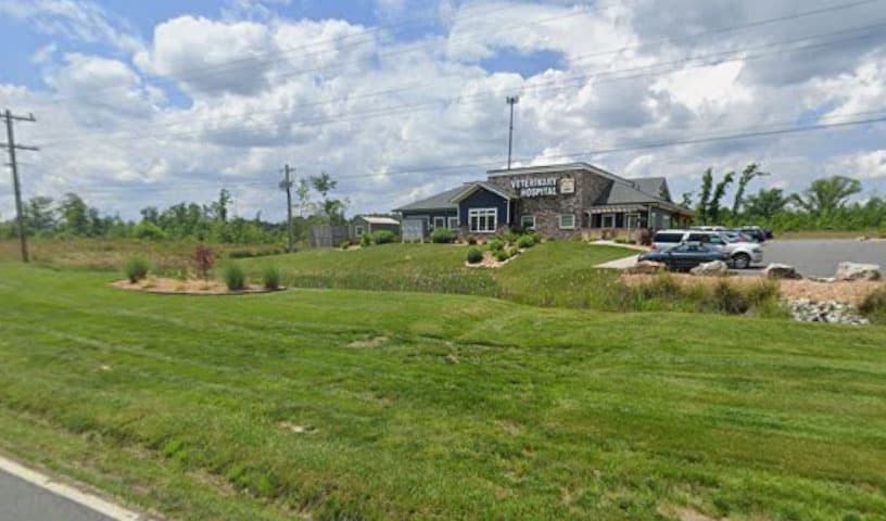 Lake Anna Veterinary Hospital