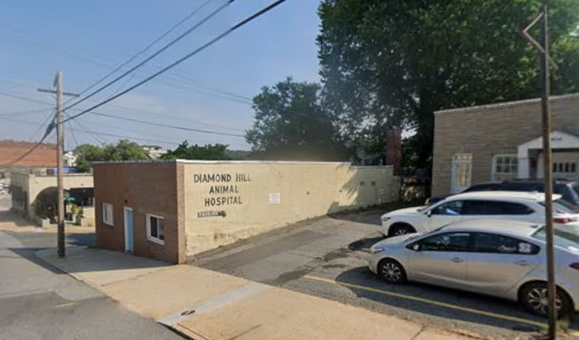 Diamond Hill Animal Hospital