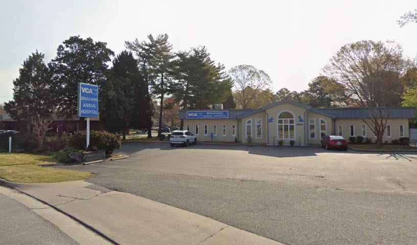 VCA Boulevard Animal Hospital