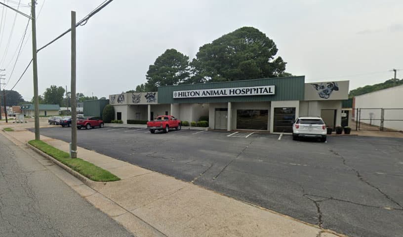 Hilton Animal Hospital