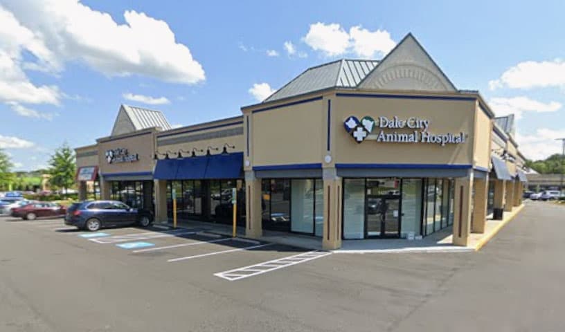 Dale City Animal Hospital