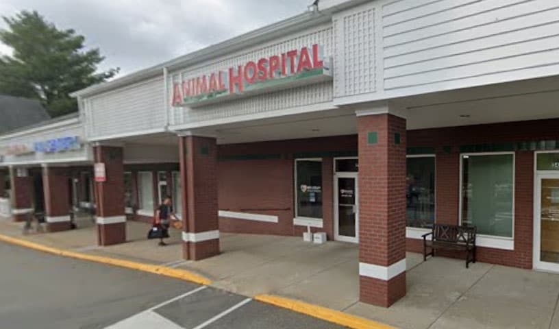 Wellesley Animal Hospital