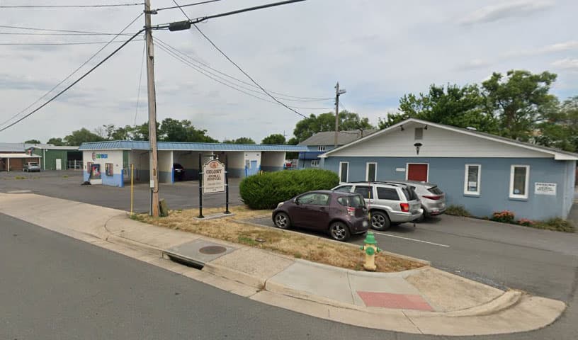 Colony Animal Hospital
