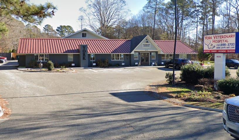 York Veterinary Hospital