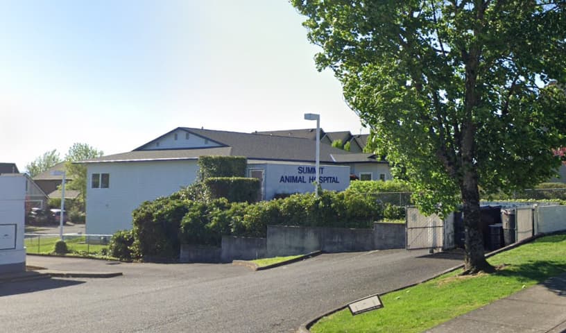 Summit Animal Hospital
