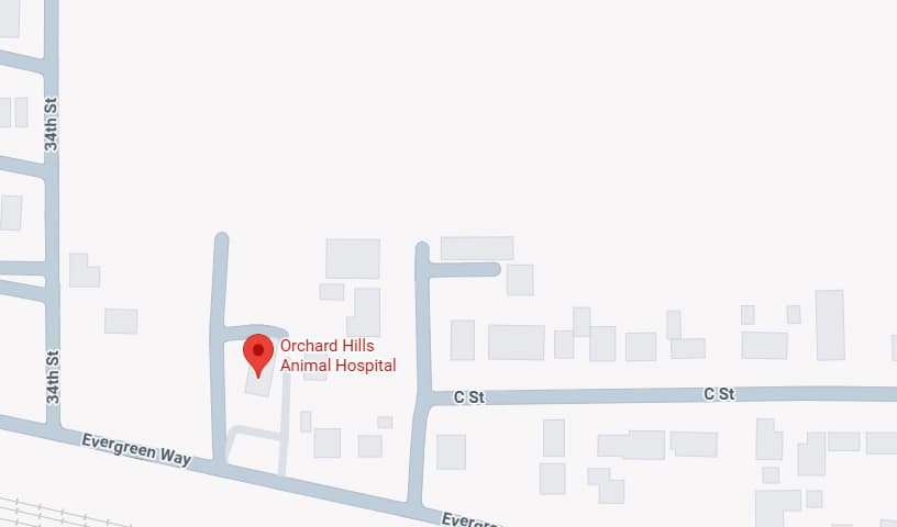 Orchard Hills Animal Hospital