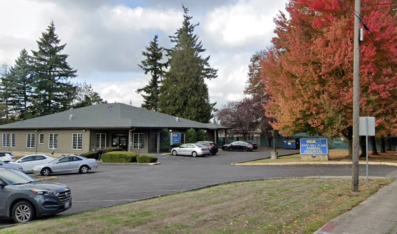 VCA East Mill Plain Animal Hospital