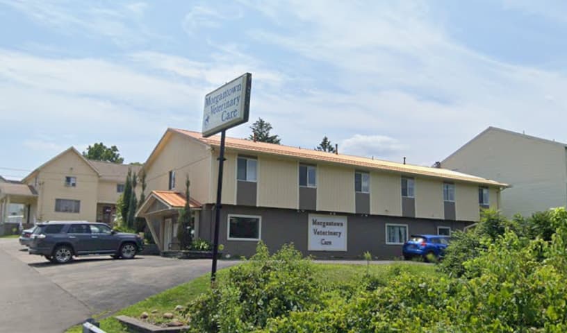 Morgantown Veterinary Care