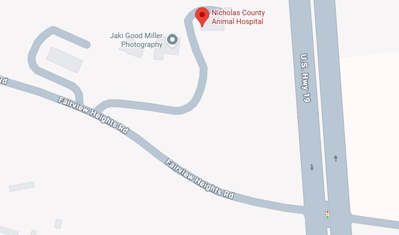 Nicholas Animal Hospital