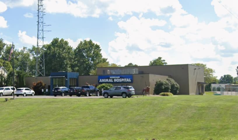 Hurricane Animal Hospital