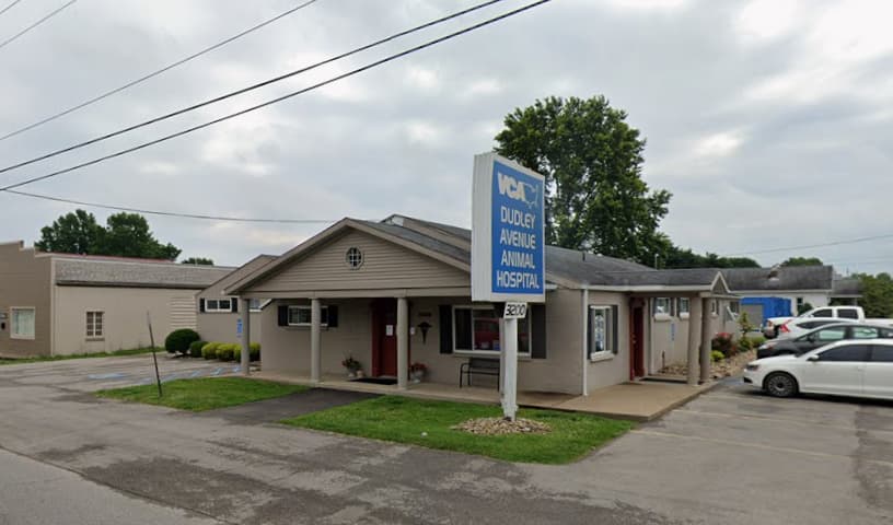 VCA Dudley Avenue Animal Hospital