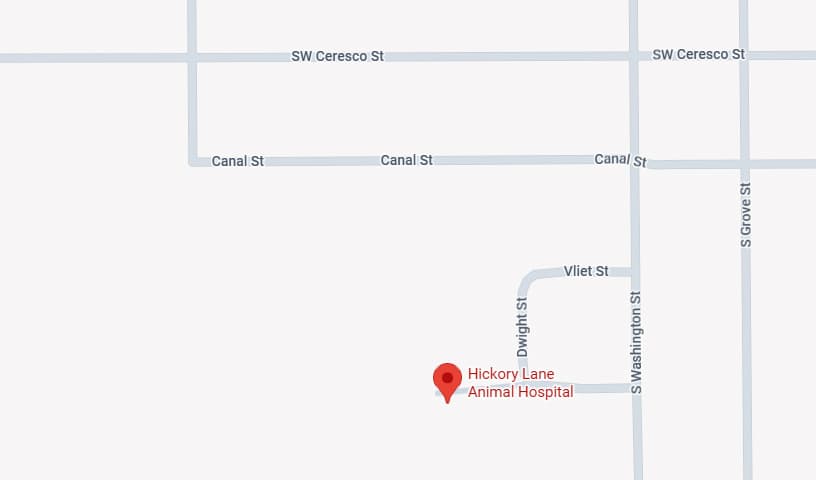 Hickory Lane Animal Hospital