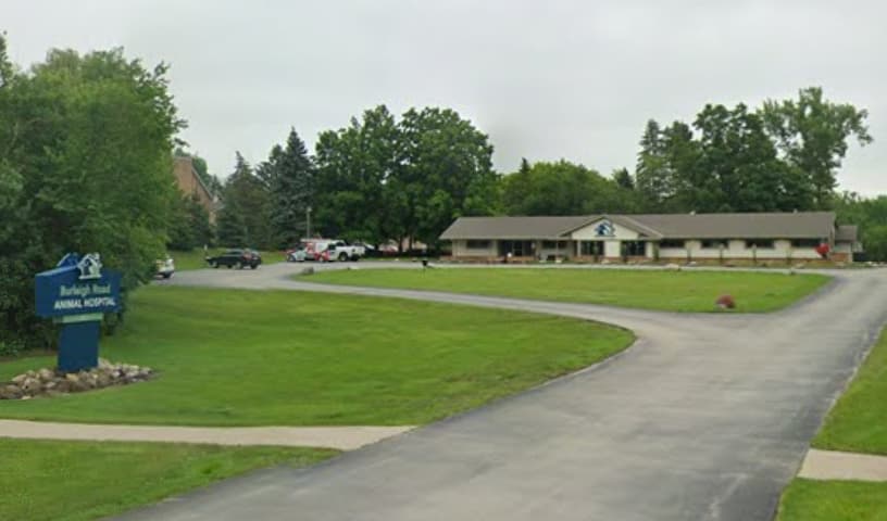 Burleigh Road Animal Hospital