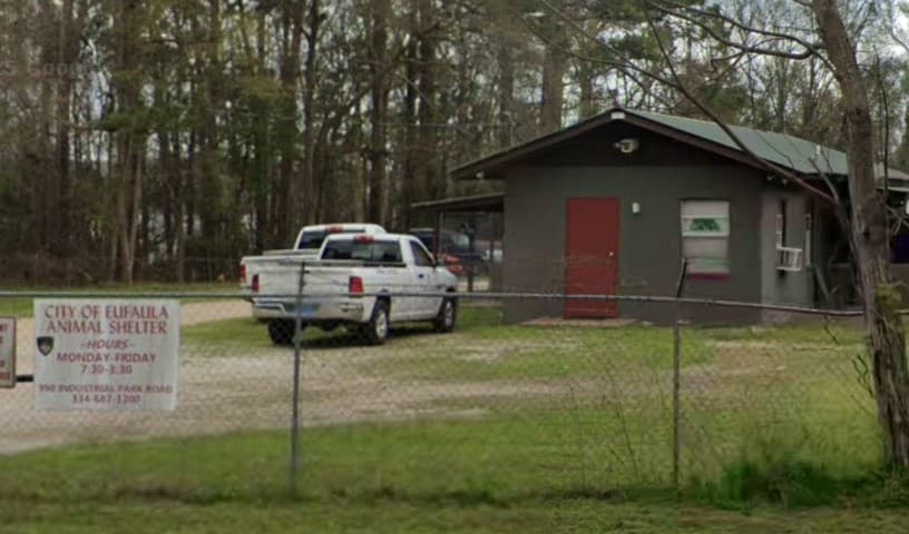 Eufaula Animal Shelter