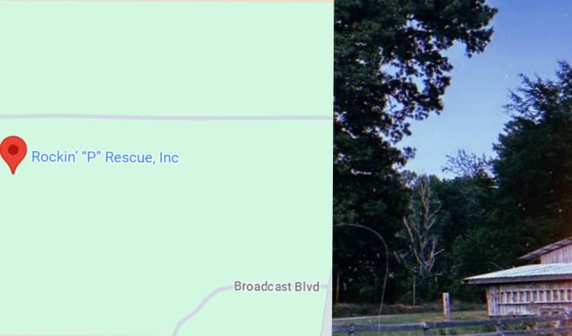 Rockin' P Rescue, Inc