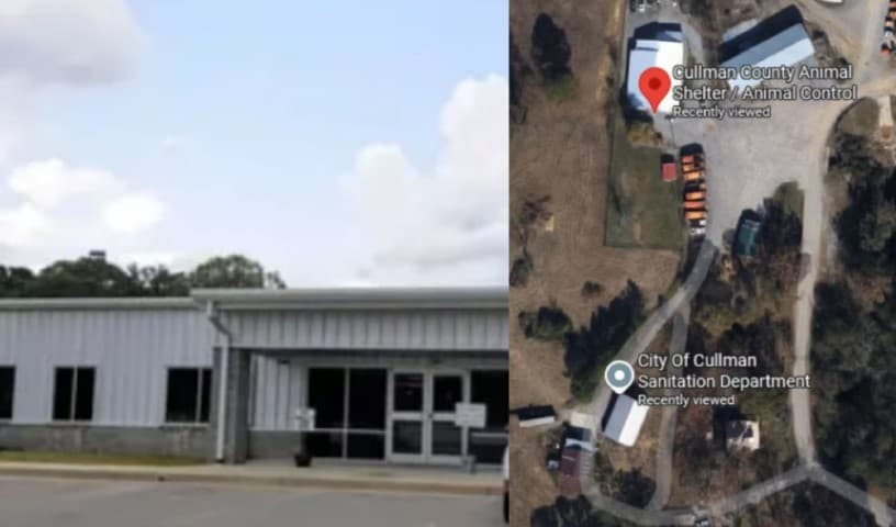 Cullman City Animal Shelter